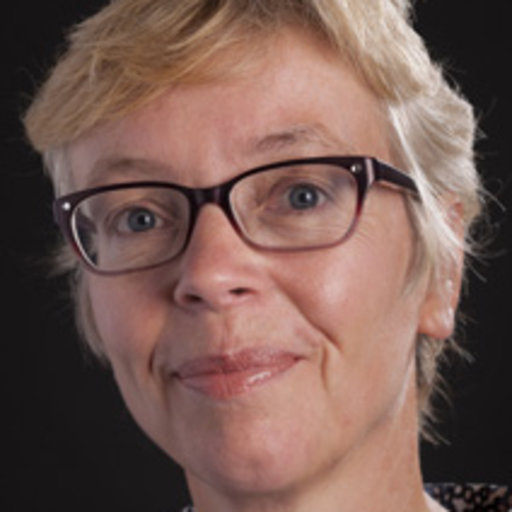 Prof. dr Henriëtte de Swart